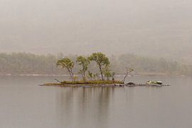 Insel im Nebel – Einsamkeit am nordischen See