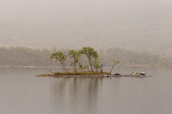 Island in the Mist – Solitude by a Nordic Lake