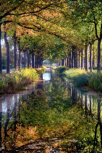 Le Compagnonsvaart à Jubbega