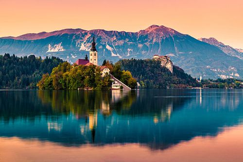 BLED 06