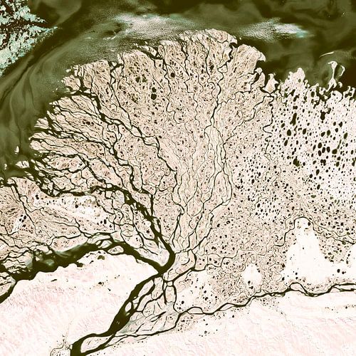 Arbre de vie scandinave