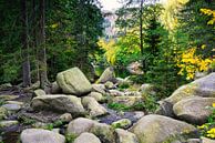 Autumn landscape with the Oker river and Engagement island in th by Andreas Völkel thumbnail