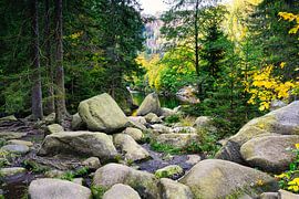 Autumn landscape with the Oker river and Engagement island in th by Andreas Völkel