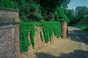 Historische Stadtmauer in Nijmegen: Mittelalterliches Erbe und Naturschönheit mit Efeu