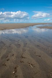 Schiermonnikoog - Doorkijkje naar het Noordzeestrand van Dan Photo Shaman