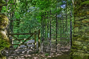 Drehtür im Wald