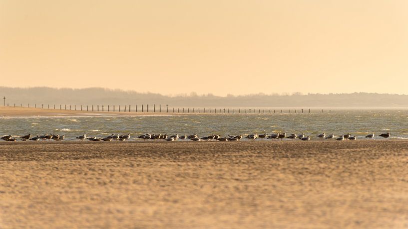 Maasvlakte 23 by Deshamer