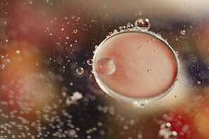 Bubbels