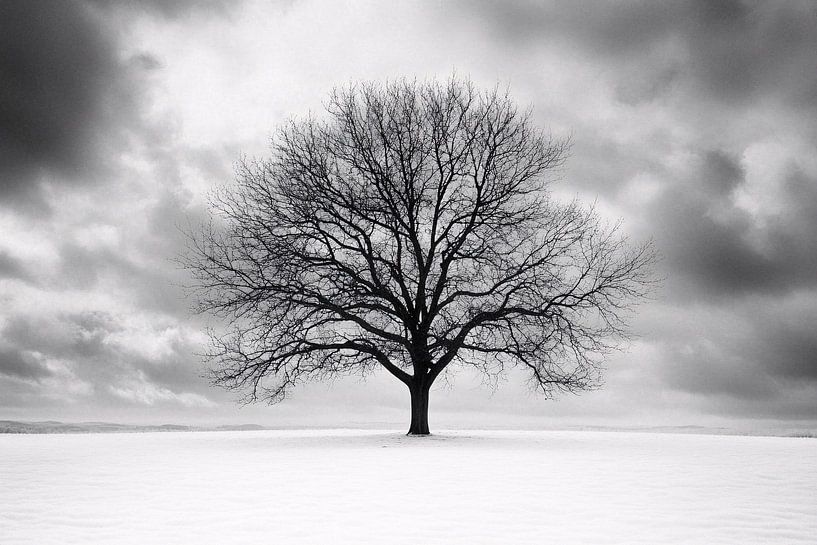 Arbre dénudé dans un paysage d'hiver par Imperial Art House