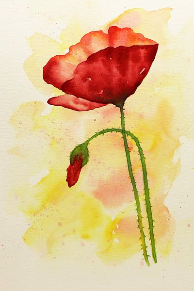 De rode klaproos (realistisch aquarel schilderij bloem plant rood geel fragiel knop fleurig vrolijk) van Natalie Bruns