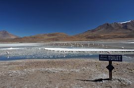 Mineralische Schönheit der Laguna Honda