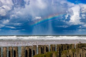 Temps maussade sur la côte zélandaise