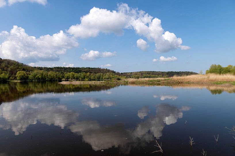 Elbe Unesco biosphere reserve. by Richard Wareham