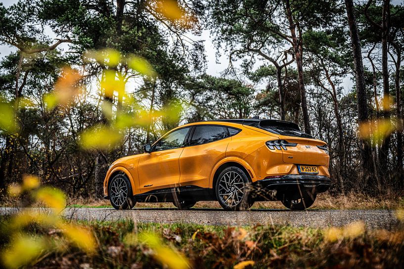 Ford Mustang Mach-E GT by Bas Fransen