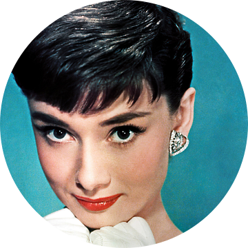 Audrey Hepburn van David Potter