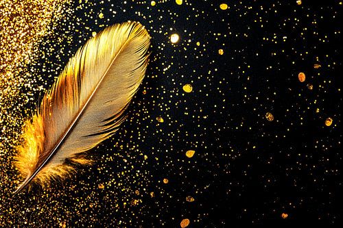 Elegante gouden veer op zwart