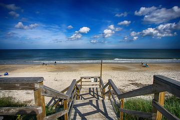 A Day At The Beach in Florida van Yvonne Smits