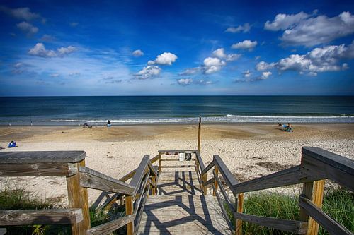 A Day At The Beach