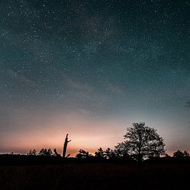 Sternenhimmel Kootwijk von Rick de Visser