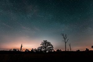 Sternenhimmel Kootwijk von Rick de Visser