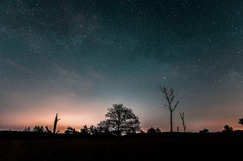 Starry sky Kootwijk
