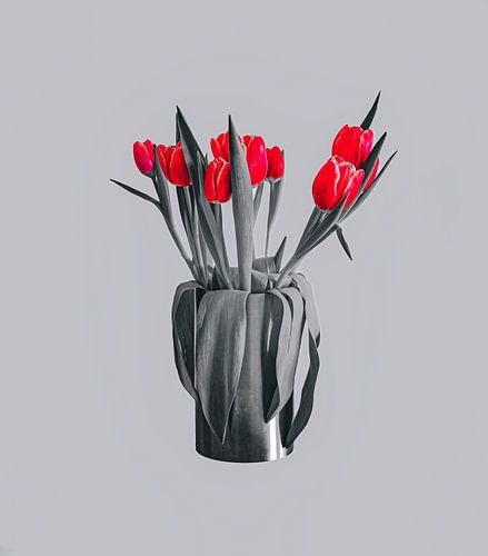 Tulpen grijze bg rood