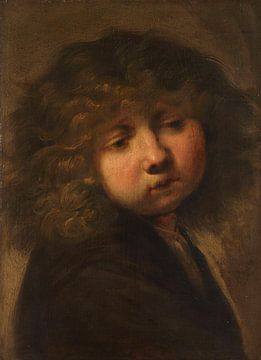 Jongenskopje, Rembrandt van Rijn (omgeving van)