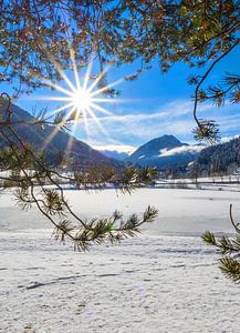 Winterzauber am Winklersee