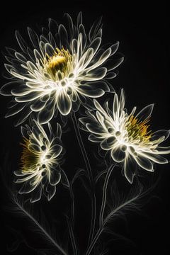 Magic flowers by Bert Nijholt