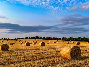 Fin de l'été à la campagne sur Dirk Rüter