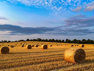 Spätsommer auf dem Land von Dirk Rüter