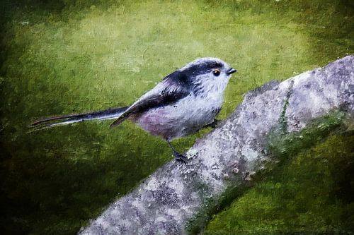 De staartmees (schilderij)