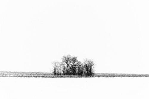 Ruhiger Horizont im Winter