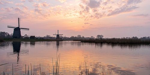 Zonsopkomst in de polder