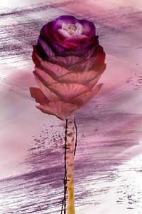 Blume mit Dornen