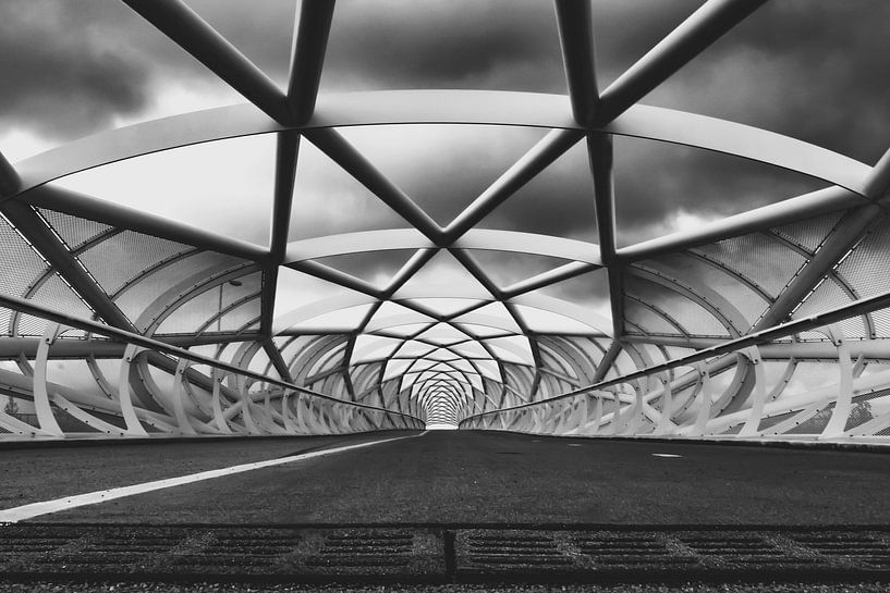The Net stocking by Ruud van der Wees
