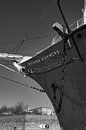Rickmer Rickmers van Elbkind89 thumbnail
