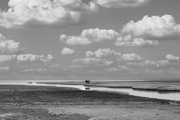 de kiekkaaste in zwart wit, vogelhut van M. B. fotografie