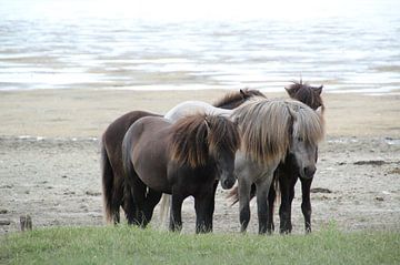 Dutje op het strand van Esther Leijten-Kupers