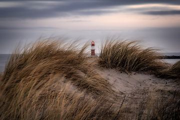 Vuurtoren in de duinen Warnemünde van Bild.Konserve