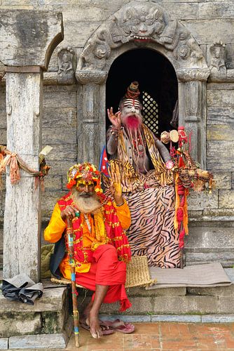 De Sadhus van Nepal