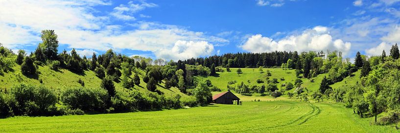 Wiesenland von fotoping