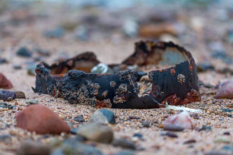 rusty crown of a sea king by Nicolette Uchtmann