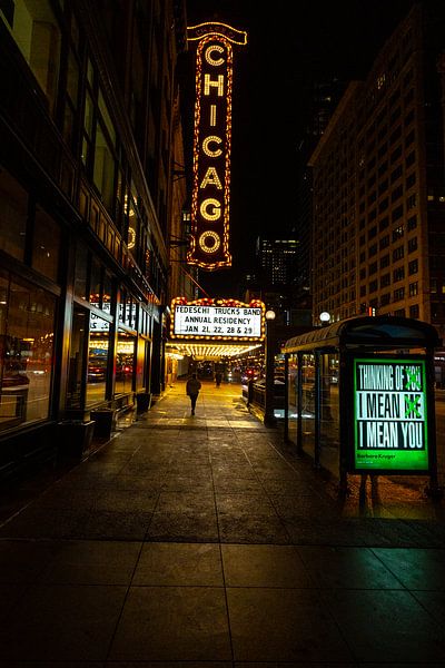 Famous Chicago theater with neon lights in the evening by Eric van Nieuwland