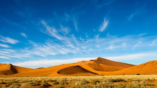 Airborne landscape above Namibian dune