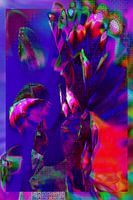 FEEL
