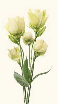 Boeketje bloemen - Lisianthus van Klaartje Majoor