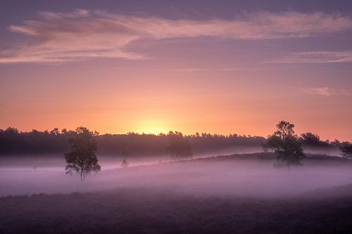 Fraaie kleurrijke mistige zonsopkomst