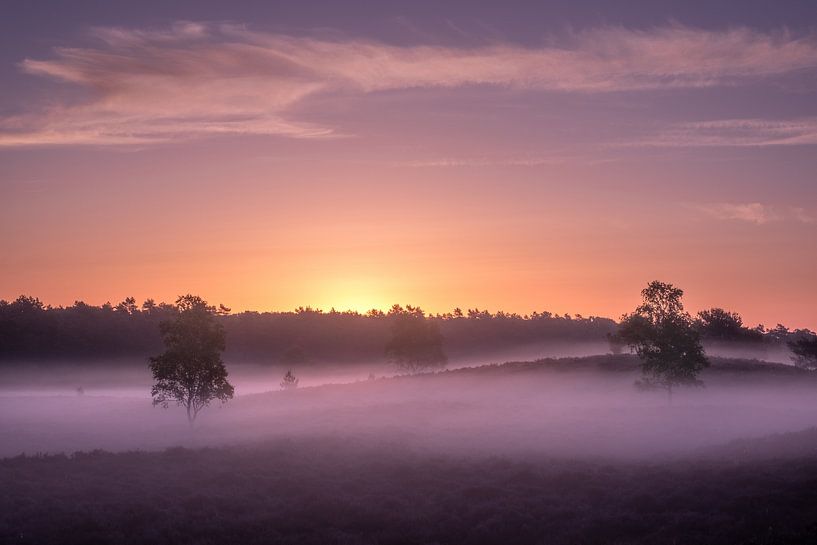 Magnifique lever de soleil brumeux et coloré par Moetwil en van Dijk - Fotografie