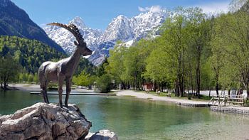 Statue der Bergziege am Jasna-See in der Umgebung von Kranjska Gora in Slowenien